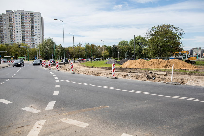 Usuną sto drzew, bo przesadzanie jest za drogie