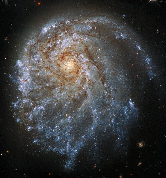 Galaktyka spiralna NGC 2276 widziana przez Kosmiczny Teleskop Hubble'a