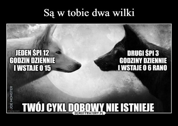 Światowy Dzień Snu. Te memy to samo życie