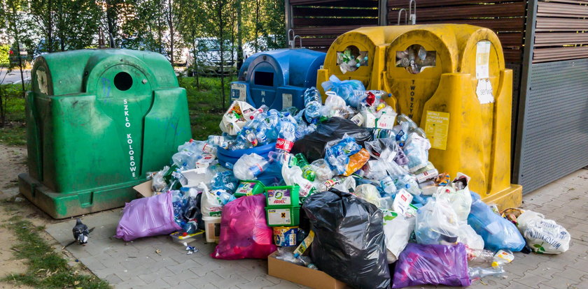 Śmieci zalewają Poznań Miasto interweniuje!