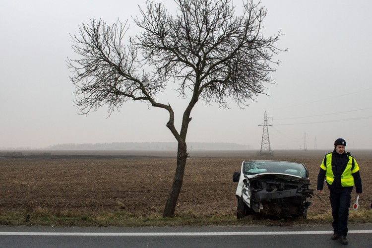 Wypadek w okolicach Brzegu