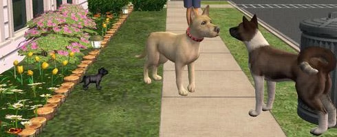 Screen z gry "The Sims 2: Zwierzaki"