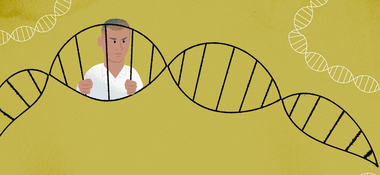 Odnajdź przodków i zmień styl życia. Genetyk tłumaczy, co naprawdę kryje się za modą na testy DNA