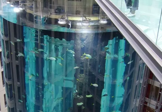 11 najbardziej niezwykłych akwariów z całego świata. Zapierają dech w piersiach