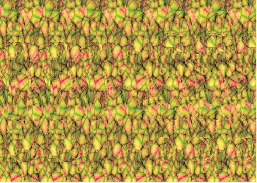 Odpowiednio patrząc na stereogram, zobaczymy trójwymiarowe litery KŚ i kropki (im jaśniejszy element, tym wydaje się położony bliżej oczu). Stereogram wykonanno za pomocą darmowego programu ze strony http://hidden-3d.com/ games_stereogram_paint.php