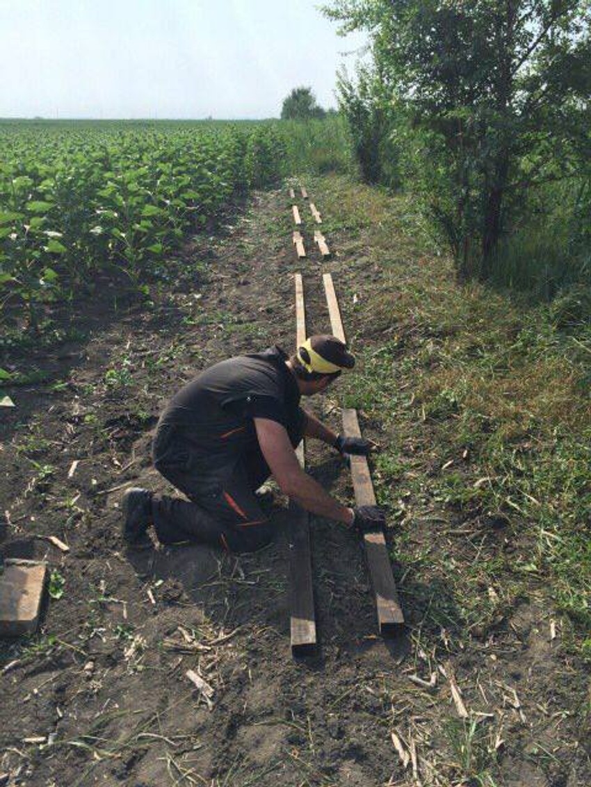 Krade se i po plastenicima