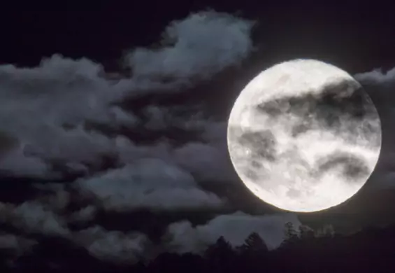 Pełnia Bobrzego Księżyca już niebawem rozświetli niebo. To szczególny czas
