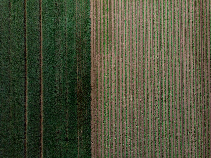 Novi Sad886 njive salasi vojvodina foto Nenad Mihajlovic