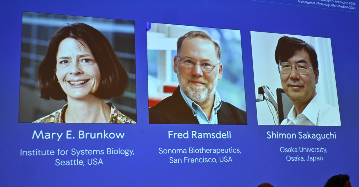 Nobel z medycyny przyznany. Laureatami trzej naukowcy z USA i Japonii