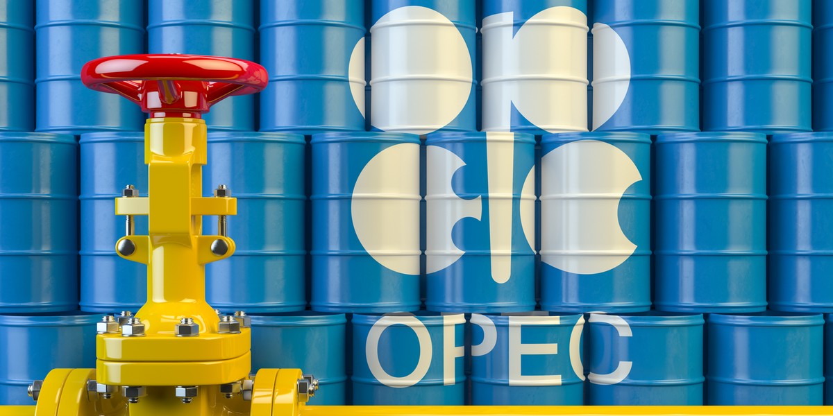 Organizacja Krajów Eksportujących Ropę Naftową (OPEC – skrót od anglojęzycznej nazwy instytucji - Organization of the Petroleum Exporting Countries) powstała w 1960 roku w Bagdadzie. Jej utworzenie było możliwe dzięki współpracy pięciu krajów - Arabii Saudyjskiej, Iraku, Iranu, Kuwejtu i Wenezueli