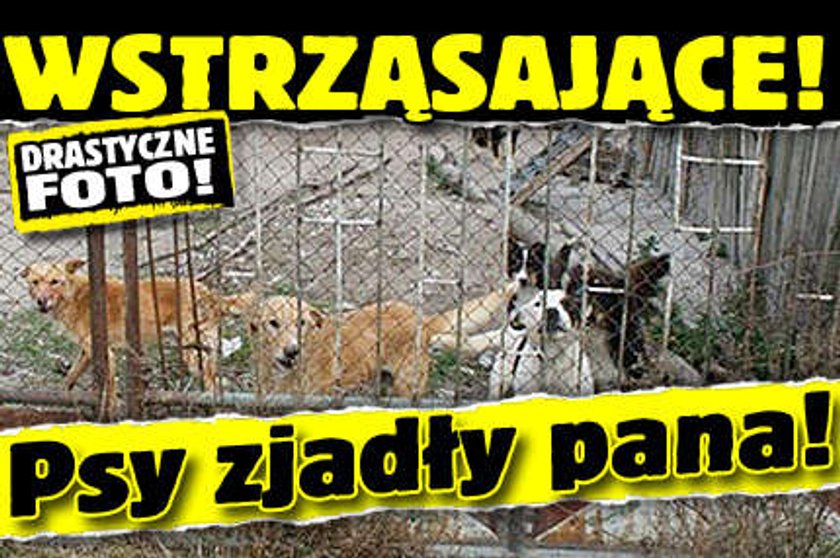 Psy  zjadły pana! Drastyczne FOTO!