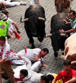 Krzyk, krew i tętent kopyt. Zdjęcia z gonitwy byków!