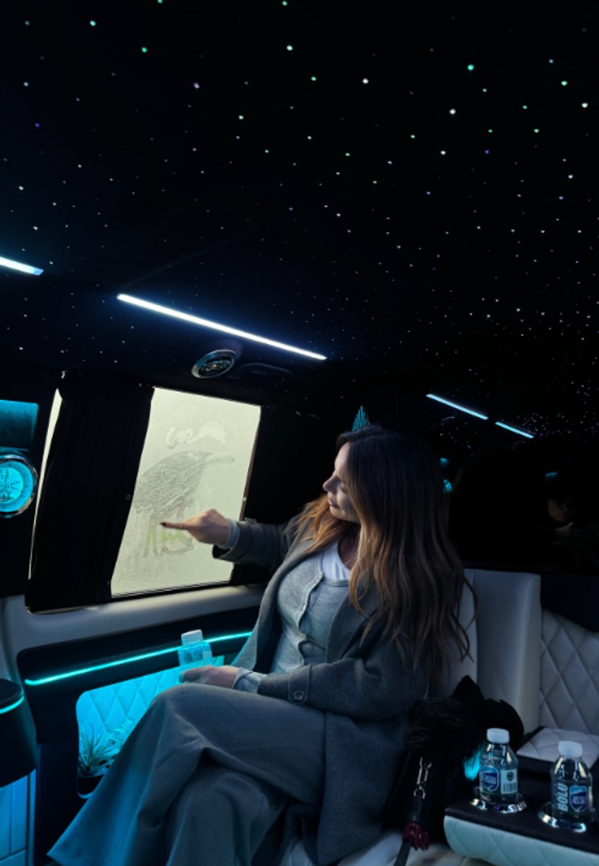 Sonja Vuksanović u Istanbulu