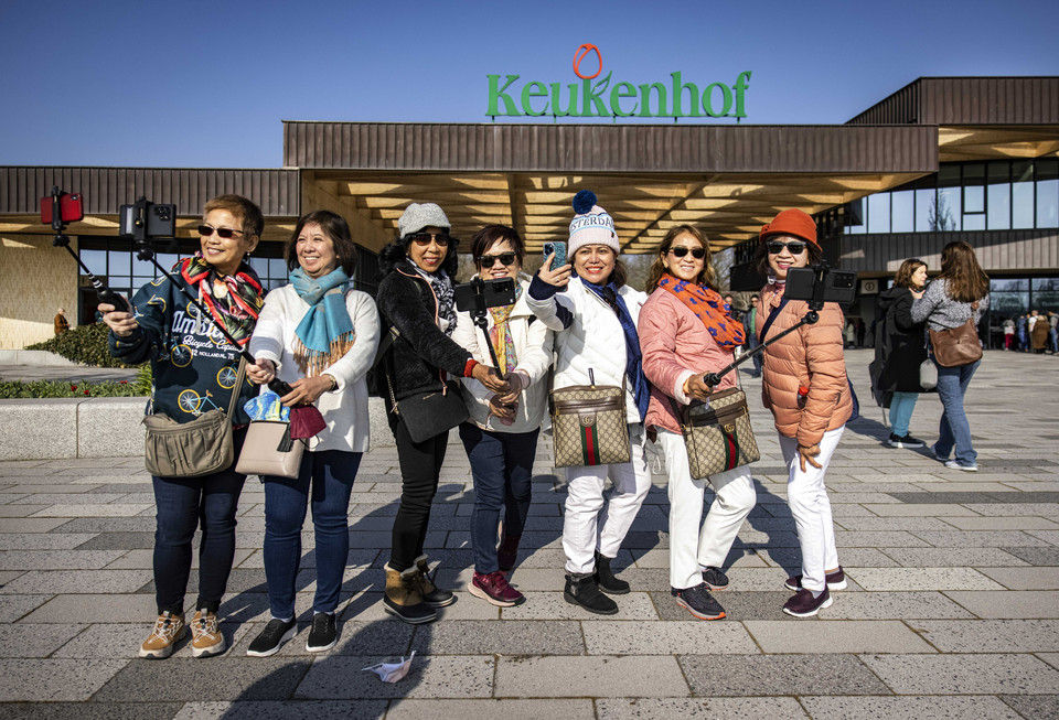 Holandia: słynny park kwiatowy Keukenhof otwarty po dwuletniej przerwie