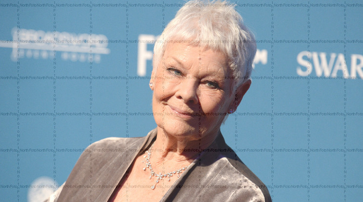 Judi Dench