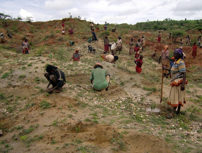 7. Sytuacja w Rogu Afryki. 20 lipca  2011 roku w wyniku suszy i bardzo wysokich cen żywności w regionie, ONZ ogłosiła najpoważniejszy od lat stan klęski głodu w Rogu Afryki . Najtrudniejsza jest sytuacja w dotkniętej wieloletnim konfliktem Somalii, gdzie w ostatnich miesiącach zmarły dziesiątki tysięcy ludzi, głównie dzieci. Bardzo wysoki poziom niedożywienia panuje też w Etiopii, Kenii i Dżibuti, zwłaszcza tam, gdzie napływają uchodźcy z Somalii. Fot.flickr/treesftf