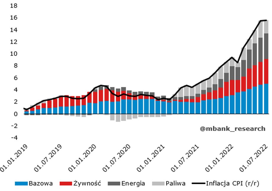 Struktura inflacji konsumenckiej w Polsce. Napędzają ją drożejące paliwa, energia i żywność. 