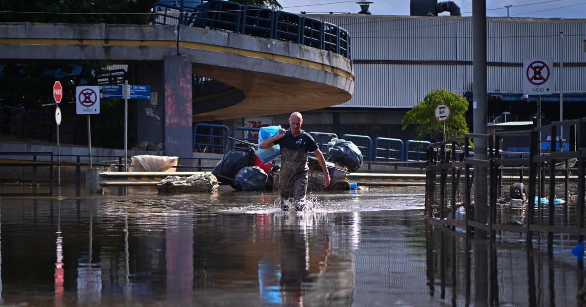  Brazylia: Na zalanych powodzią ulicach pojawiły się piranie i kajmany