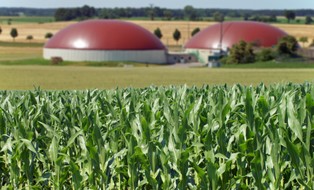 Polska ma potencjał, by zbudować kilka tysięcy biogazowni i biometanowni