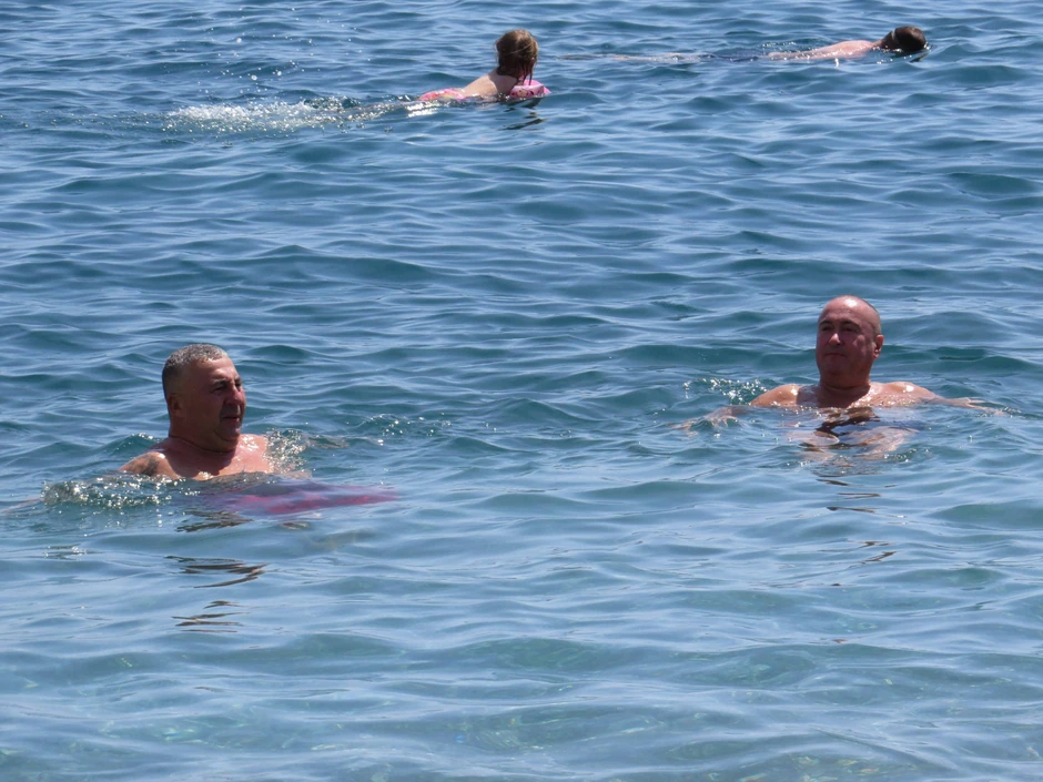 Radiša Trajković - Đani Jaz