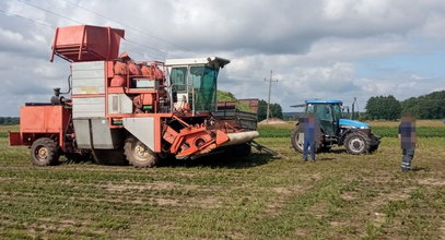 Zginęli podczas zbioru fasoli. Na jaw wychodzą wstrząsające okoliczności