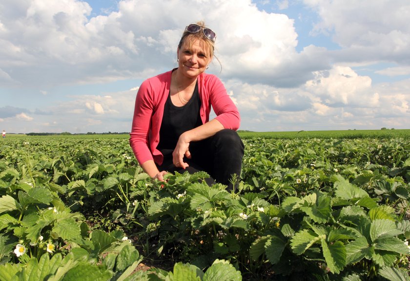 Właścicielka plantacji truskawek