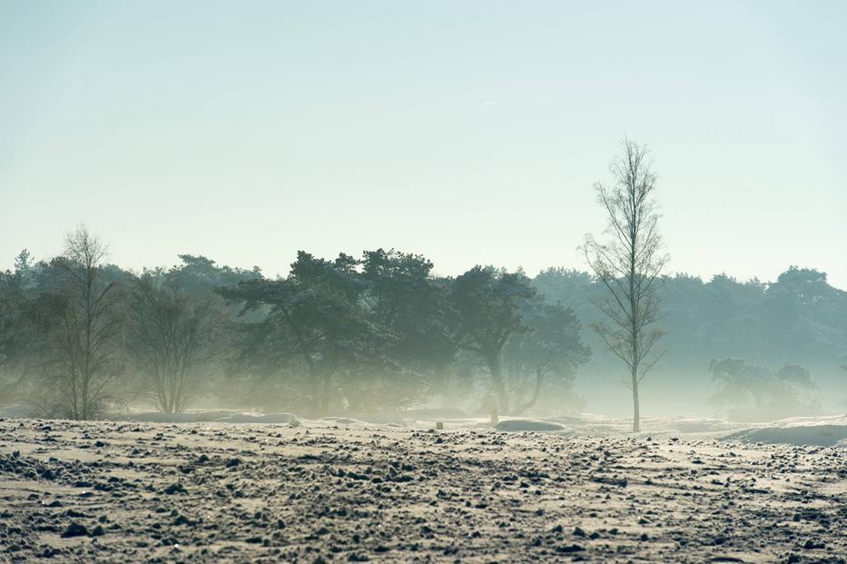 Jön a vihar / Illusztráció: Northfoto