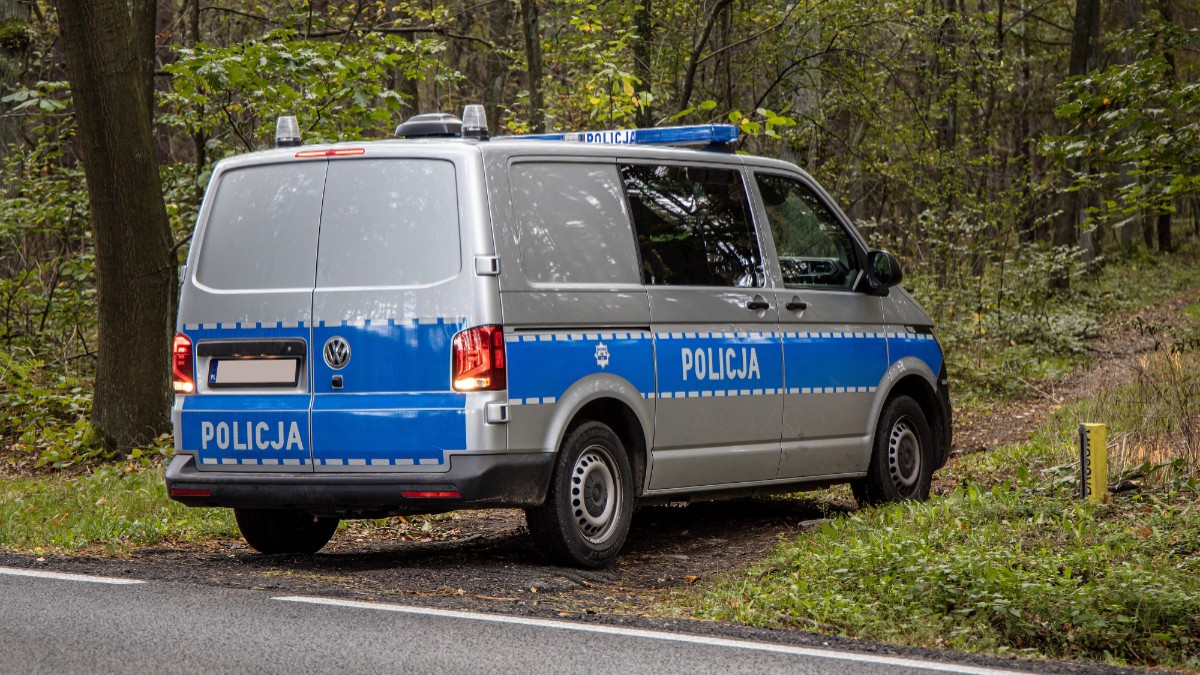 Sute de români au ajuns în pădurile din Polonia la cules de ciuperci. Poliția a descins după ce localncii au sunat disperați la 112