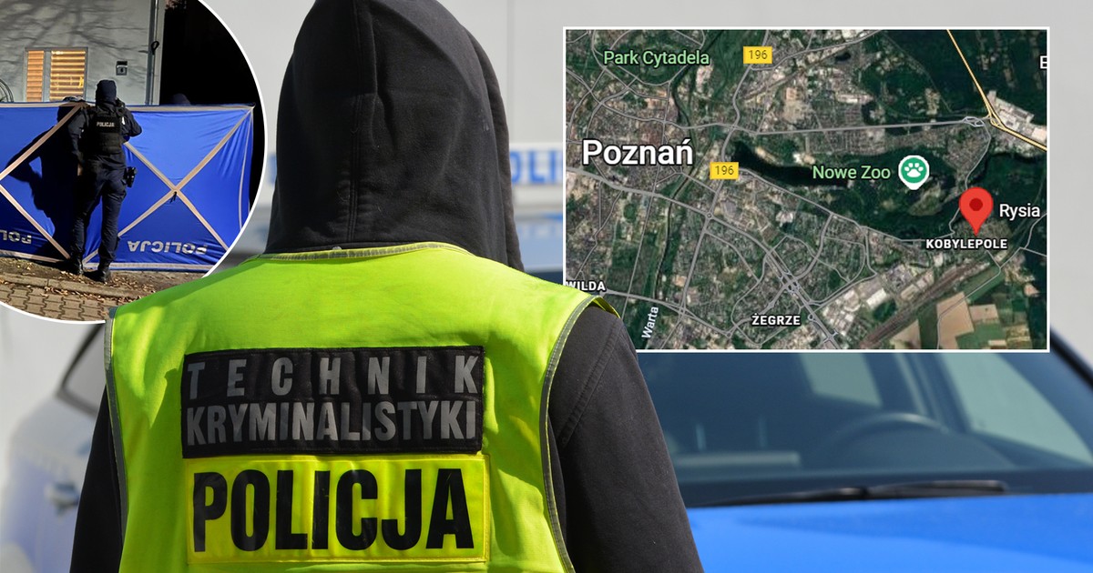 Ciało mężczyzny na ulicy w Poznaniu. Nowe fakty. Policja mówi o kluczowej czynności