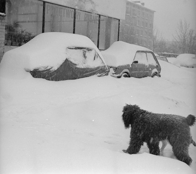 Zima stulecia w Warszawie w 1979 r.