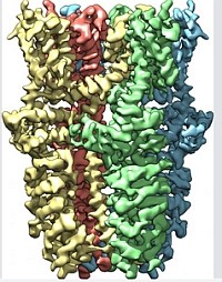 receptor-d00001FBA9ecbf4aab302