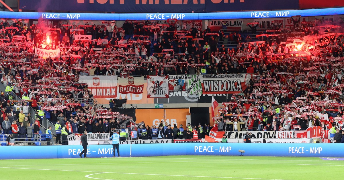 Polscy kibice na trybunach w Cardiff. Race i kłótnie z ochroniarzami