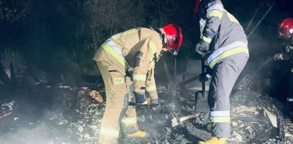 Horror na terenie ogródków działkowych w Kielcach. Odkryto trzy ciała