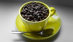 Eksperci przebadali marki kawy z popularnych dyskontów. Te wygrały z konkurencją