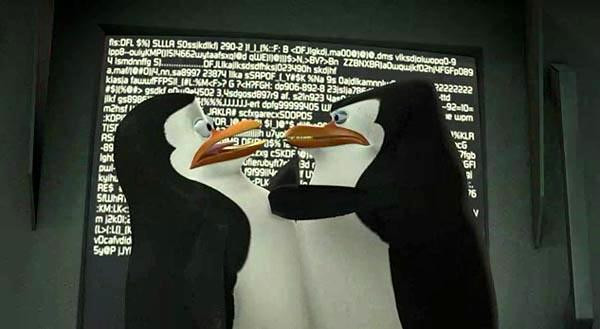 Śmieszne pingwiny