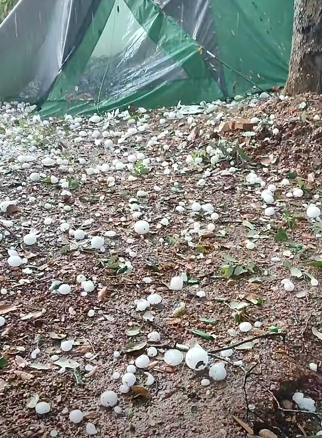 Rovinj zasypali krúpy.