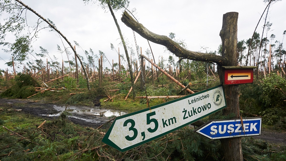 Po tragicznej wydarzeniach minionej nocy w Suszku szef Związku Harcerstwa Rzeczypospolitej Grzegorz Nowik zarządził miesięczną żałobę we wszystkich jednostkach ZHR. - Stawiamy sobie pytanie – czy mogliśmy uczynić coś jeszcze, aby tego uniknąć - napisał. W wyniku nawałnicy zginęły dwie nastoletnie harcerki, a 20 osób zostało poszkodowanych.