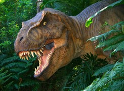 Polscy paleontolodzy przyłapali dinozaura na jego własnych śladach