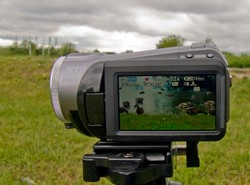 Festiwal Camerimage w Bydgoszczy. To już pewne