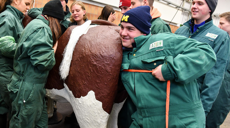 Az egyik tanuló épp felnyúlt... na, szóval oda! / Fotó: AFP