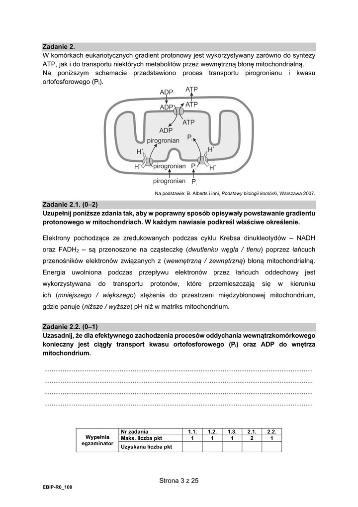 Rozszerzona matura z biologii 2021 - arkusz egzaminacyjny