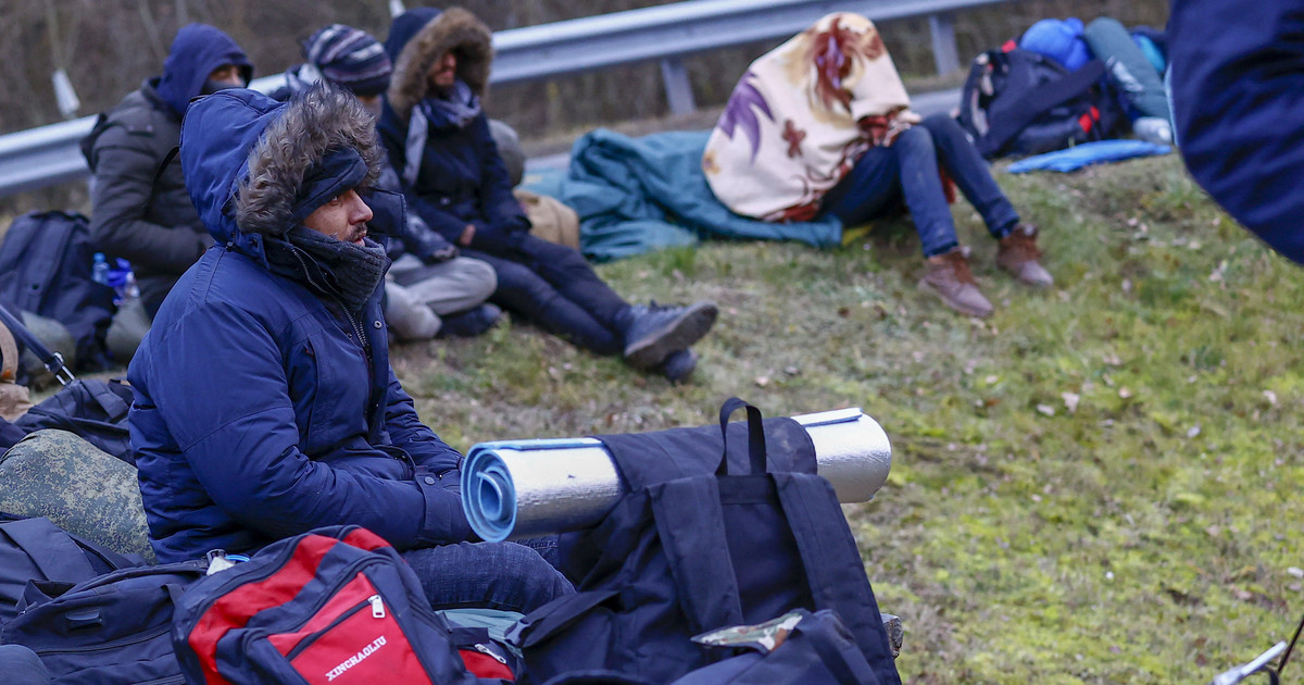 Crisis fronteriza.  El cuerpo de un hombre fue encontrado en la frontera entre Bielorrusia y Lituania