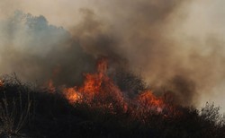 Pożar w Los Angeles. Nowe informacje