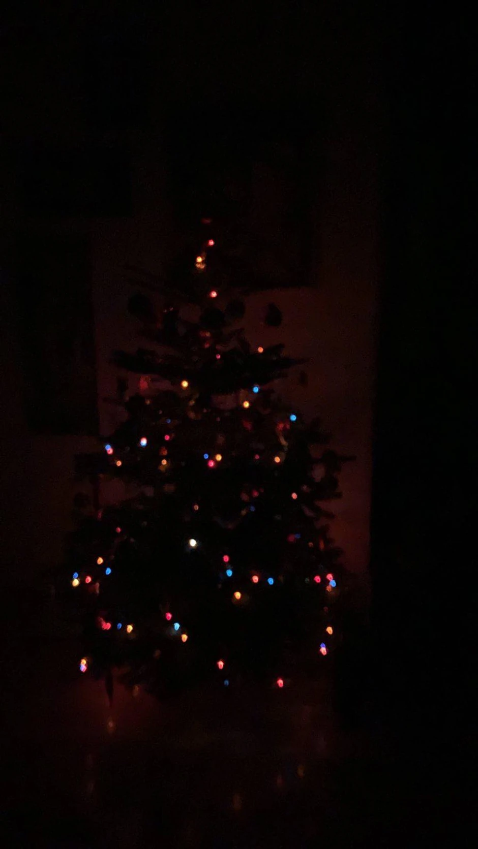 Roman je u kući postavio jelku čija je rasveta na baterije