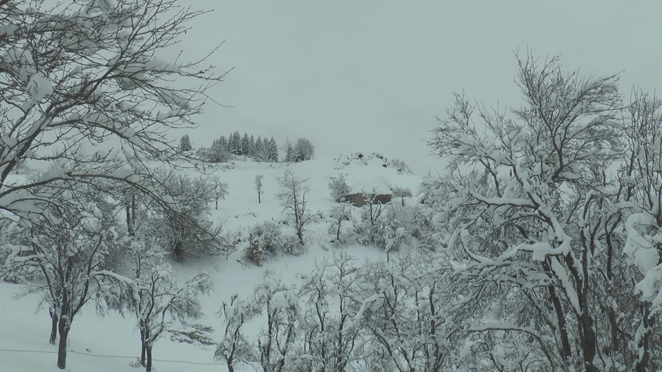 Sneg napravio problem u Ivanjici i Lučanima