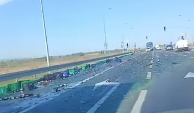 Nezgoda na Zrenjaninskom putu