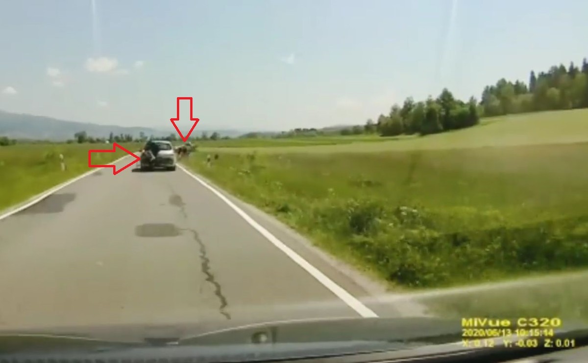 Kadr z filmu