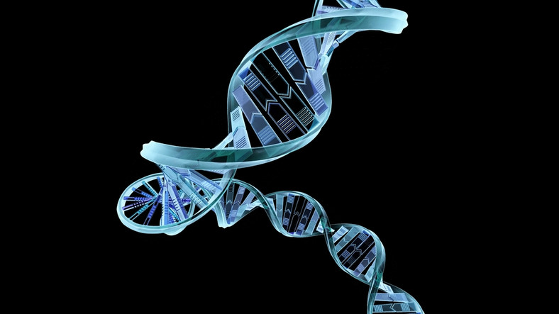 Komputerowa wizualizacja DNA, fot. Shutterstock