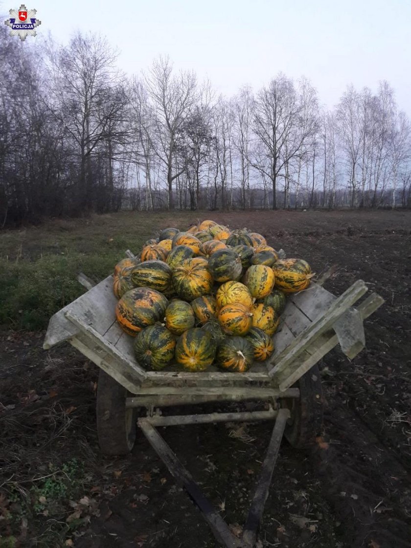 Złodziej myślał, że ma dobry plan. Bardzo się pomylił