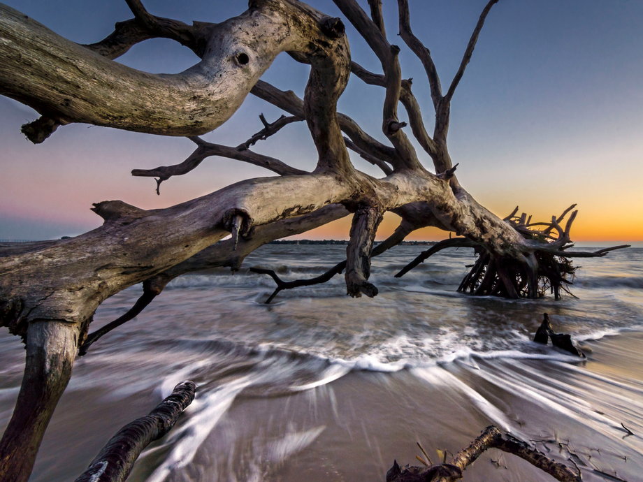 On the northern tip of Georgia’s Jekyll Island is Driftwood Beach, an otherworldly setting where the remains of driftwood trees rise from the sand. The trees are a result of years of erosion, and can be admired either on foot or while riding horses across the beach.